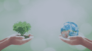 Scopri di più sull'articolo Giornata della terra 2021: Restore Our Earth