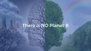 Scopri di più sull'articolo Only one earth: proteggiamo l’ambiente