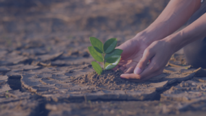 Scopri di più sull'articolo Emergenza siccità: piccoli gesti per ridurre gli sprechi