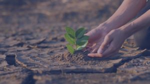 Scopri di più sull'articolo Giornata Mondiale dell’Ambiente: scegli Mister Lavaggio