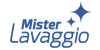 logo 300